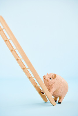 粉红猪准备爬梯子