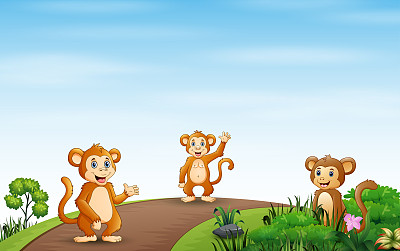 背景场景:三只猴子在路上