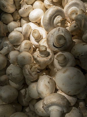 市场摊位上种植的蘑菇食品。