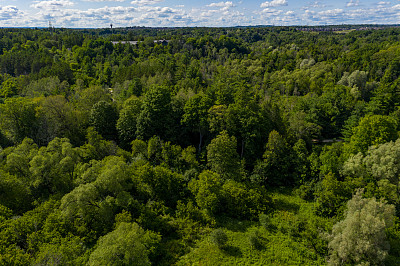 威廉格兰杰格林威Bindertwine公园-亨伯河小径在夏天，克莱因堡，加拿大安大略省