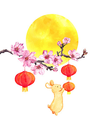 樱花盛开,满月.水彩画卡为中秋节,秋夕,新年假期