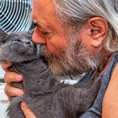 大爱，老年人和新生苏格兰直短毛灰色小猫