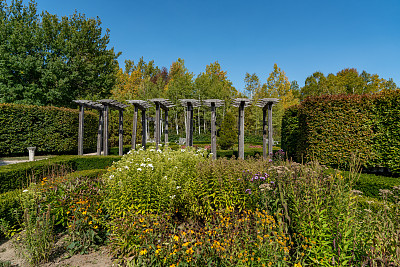 加拿大圭尔夫大学植物园