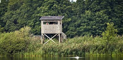 在一个池塘的野生动物观察站有一个芦苇带和一个摄影师有一个远距照相机