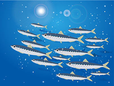 一群沙丁鱼的插图