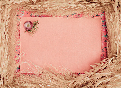 空的粉红色手工纸空白潘帕斯草和干燥的谷类植物手工纸在波西米亚风格