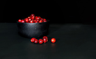 低调的黑碗蔓越莓
