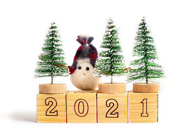 2021年新年的木方和可爱的冬季符号特写
