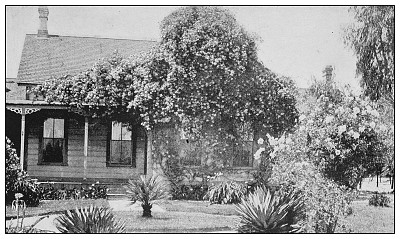 古董黑白照片的美国:加州别墅和黄金的俄斐玫瑰