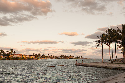 热带棕榈树和海景日落在朱庇特，佛罗里达