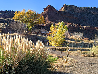 犹他州罗克维尔的南台地和潘帕斯草，在锡安国家公园附近的秋天