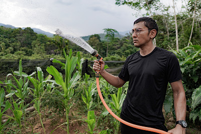 英俊的男性农民穿着黑色和浇水植物在农村农场