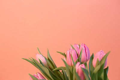 情人节卡