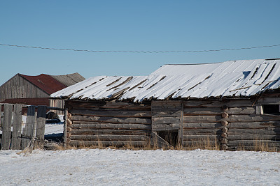 蒙大拿州大草原上的古董小木屋