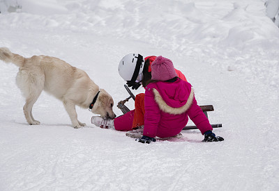 女孩们喜欢和她们的狗一起拉雪橇
