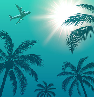 棕榈树上空的客机和天空中的太阳