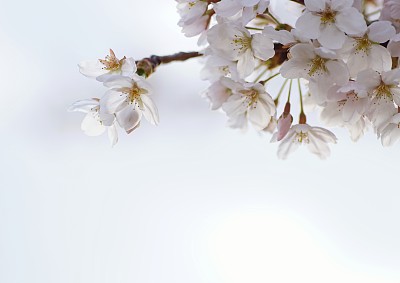 名片设计模板_海报设计_ppt模板_微信图片_模板素材库_创客贴