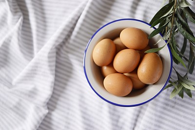 一盘棕色的鸡蛋上有灰白色的条纹盖，盘灰色搪瓷和侧面涂海军蓝，旁边的盘是一个人造橄榄枝