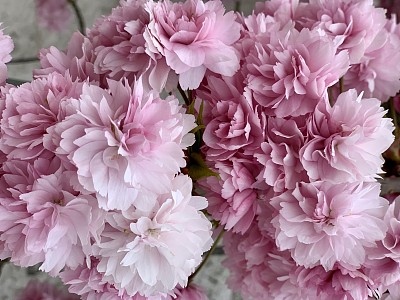 名片设计模板_海报设计_ppt模板_微信图片_模板素材库_创客贴