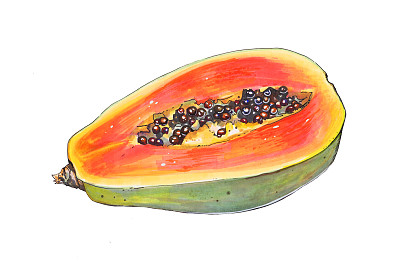 生切木瓜的果实。异国情调的热带黄橙植物图画。