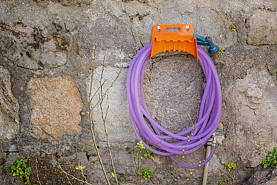 一根紫色的花园浇水管挂在石墙上