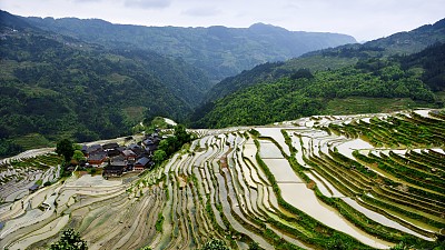 中国，贵州——梯田的抽象线条