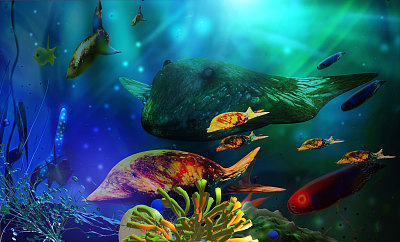 海洋生物。水下世界。