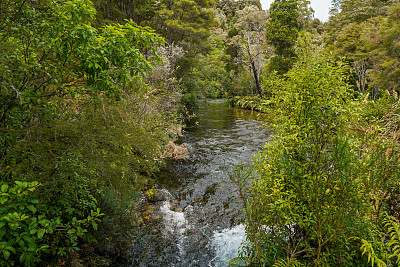 新西兰南岛塔斯曼区卡胡朗吉国家公园的特怀科罗普温泉步道