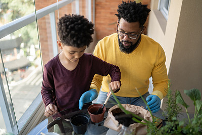父亲和儿子在家里一起种植植物