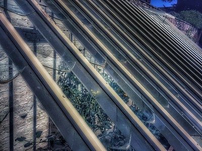 温室植物苗圃生长园艺 温室植物苗圃生长园艺