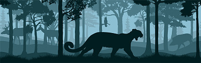 矢量森林林地背景纹理无缝图案与美洲狮，美洲狮，山狮，猞猁，猫头鹰，野猪和鹿