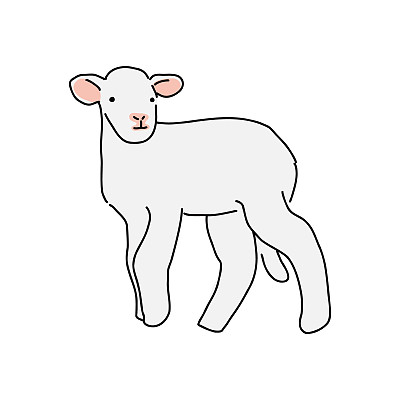 完整的身体羊简单的矢量插图