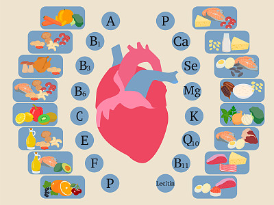 心脏的维生素信息图