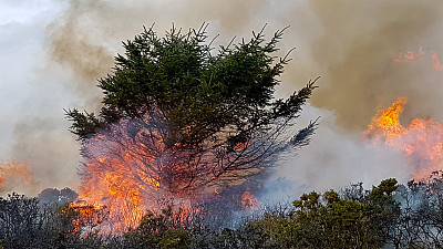 大火中的世界——森林和荒野大火，由于全球变暖和气候变化引起的森林大火在土地上蔓延，造成了死亡和破坏。