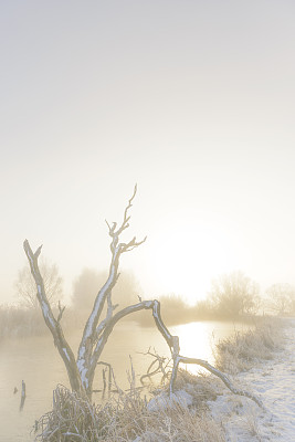 艾塞尔河三角洲的冬季景观