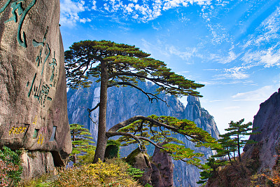 山