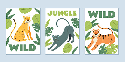 热带丛林森林动物豹传单海报横幅向量集