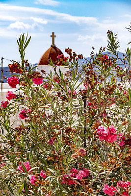 侧视图灌木与花在教堂圆顶与十字架反对蓝色的天空前