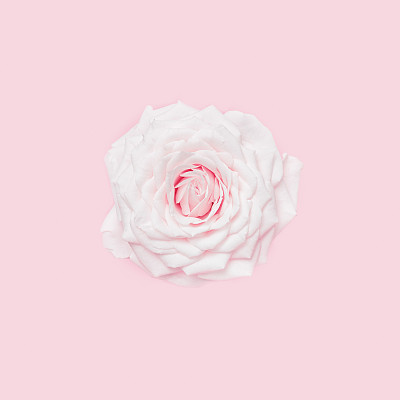 鲜花盛开