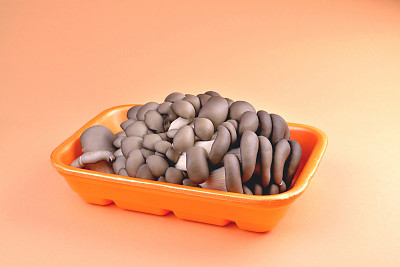 生物学