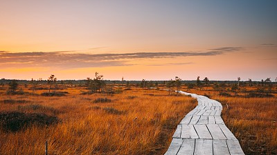 白俄罗斯维捷布斯克地区米欧里区4K 5K。叶利亚沼泽自然保护区景观。著名的自然地标。日落木徒步小径蜿蜒穿过沼泽。湿地上的栈道