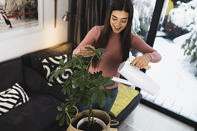 快乐的年轻女人在客厅给一株植物浇水