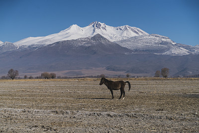 马和埃尔吉耶斯山景