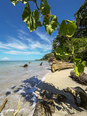 哥斯达黎加加勒比地区的卡惠塔国家公园海滩