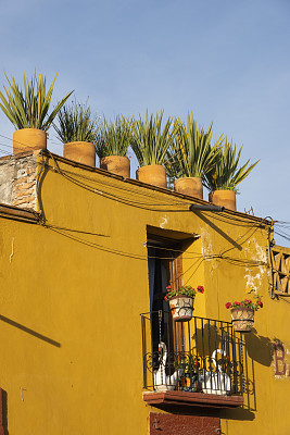 墨西哥圣米格尔德阿连德，带有阳台和屋顶盆栽的黄色殖民风格房屋