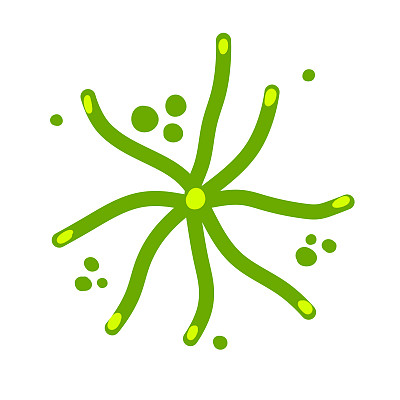 微藻。水生生物和细菌。绿色的浮游植物。平的插图