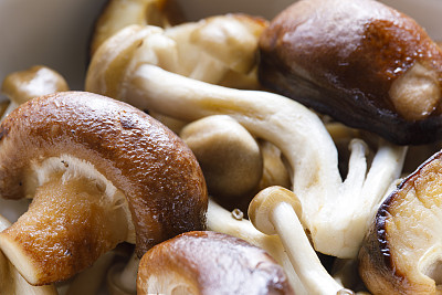 用白碗盛的蘑菇菜。