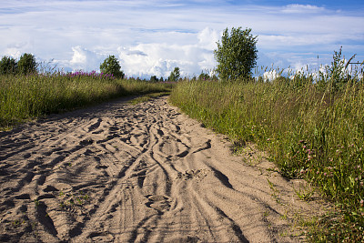 树林里的沙路上有马蹄的痕迹