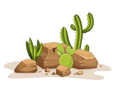 仙人掌带着刺和石头。墨西哥绿色植物，有刺和岩石。沙漠和南部景观的元素。卡通平面矢量插图。孤立的白色背景。
