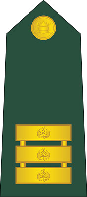肩垫北约军官徽章的斯洛文尼亚高级中尉